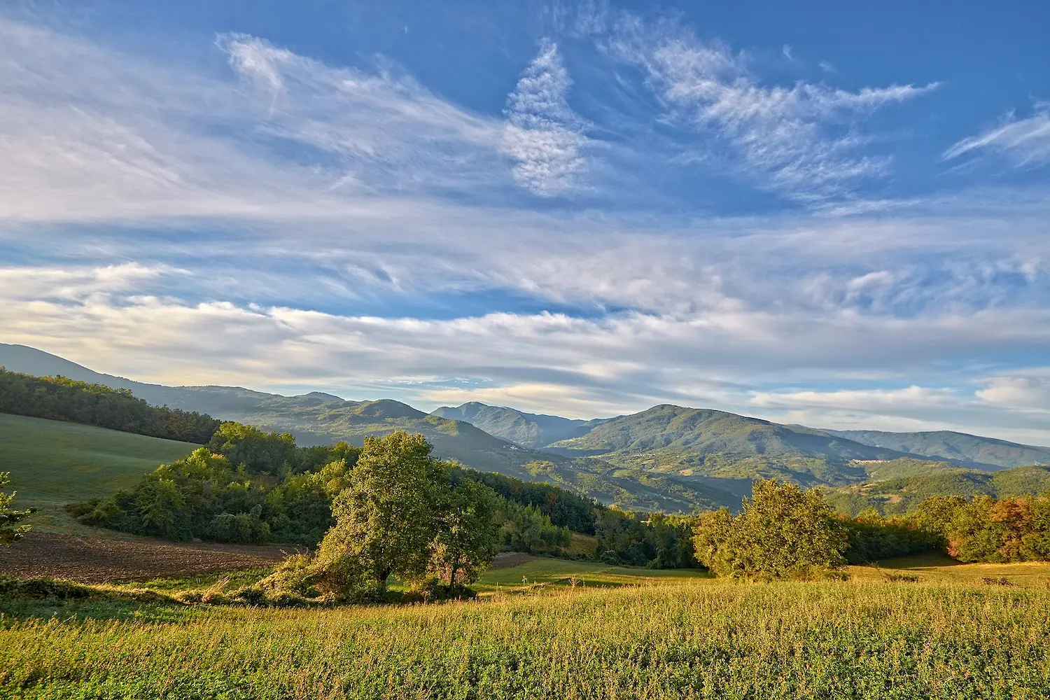 Hills of Oltrepò Pavese