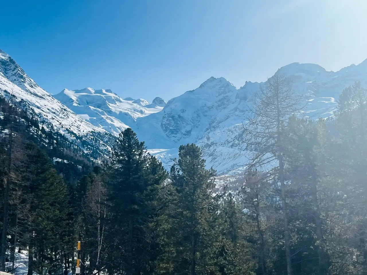 Snow-covered Alps and pine forest seen from the Bernina train window in winter sunshine