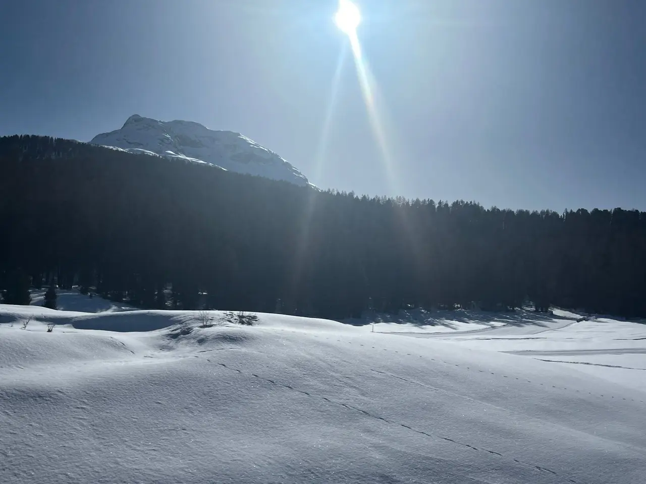 Deep winter snowfield below a mountain peak on the Bernina line, photographed from the train
