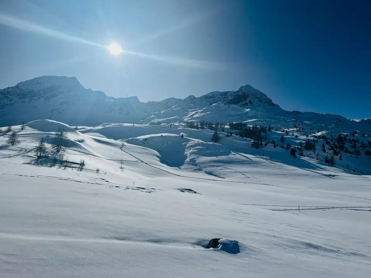 Sweeping snowfields and mountain ridges near the Bernina Pass photographed through the open train window