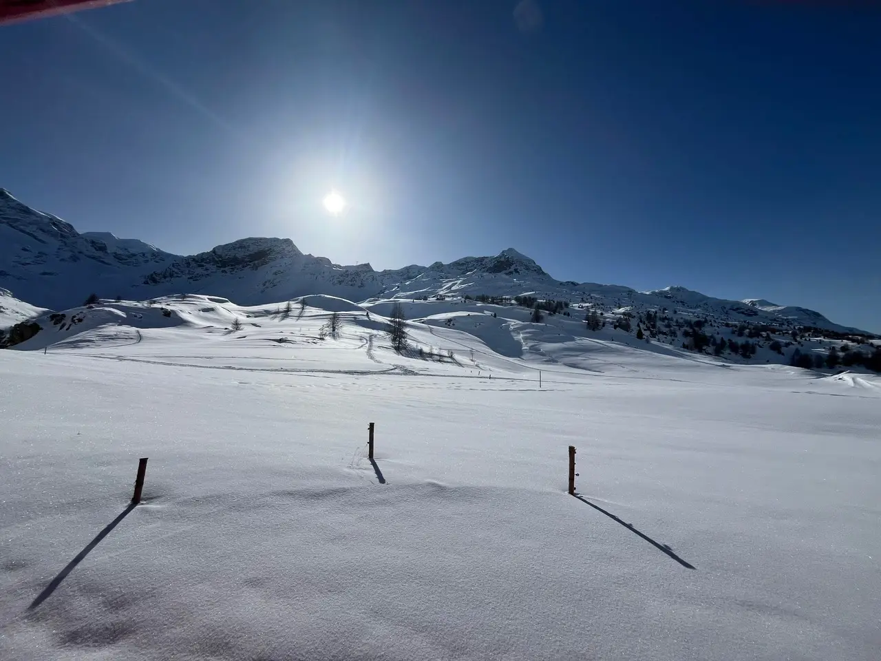 Fenceposts casting long shadows across deep snow at altitude on the Bernina line — viewed from the train window