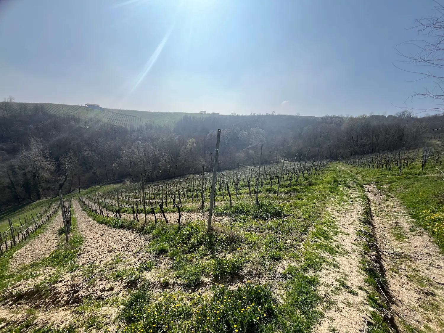 Azienda Agricola Ferrari Dario e Alberto 