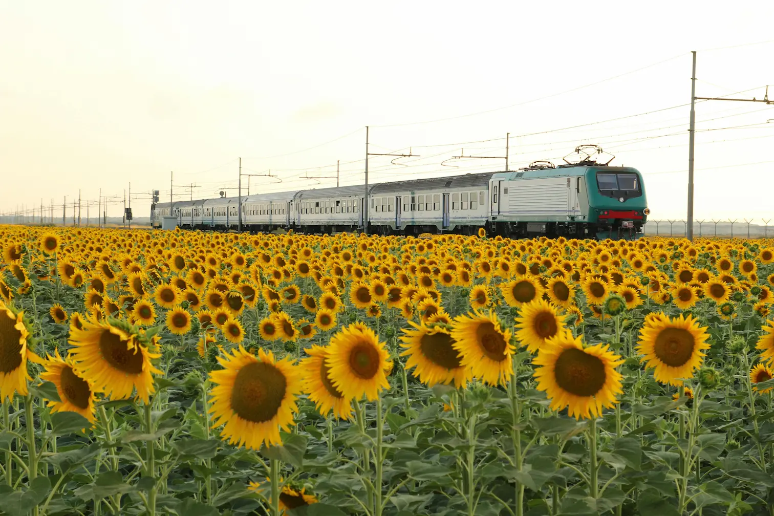 How Italy's train network works