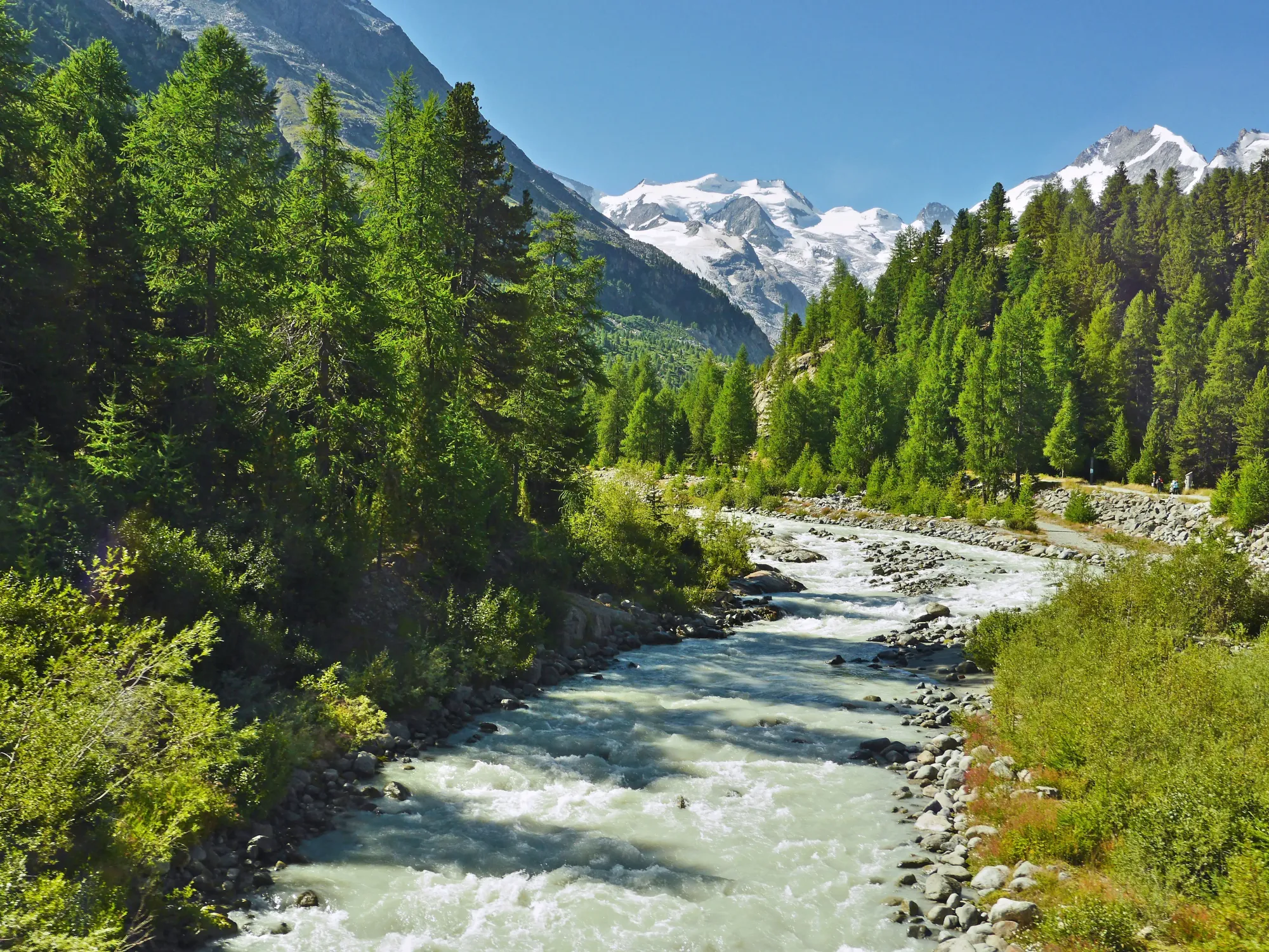 View from Bernina Train in Summer