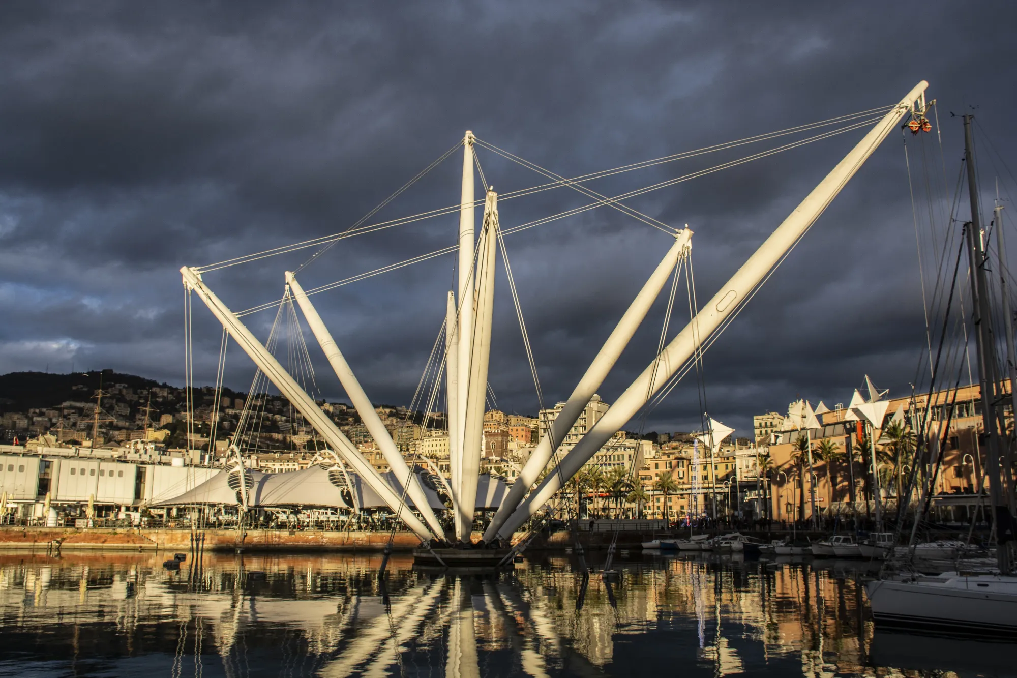 Bigo — a crane-like panoramic lift — rises above Genoa's harbour