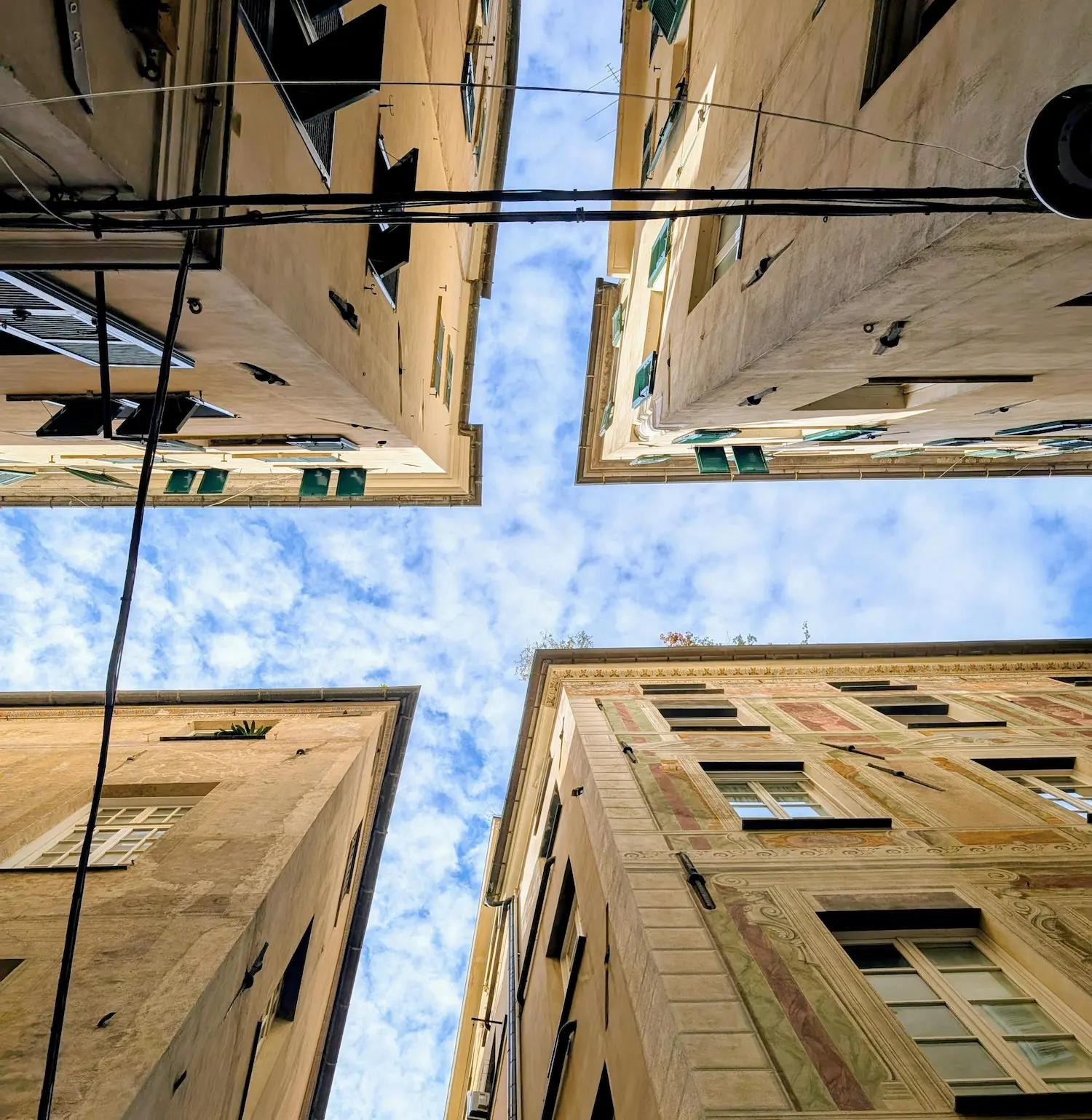 Looking up from Genoa's alleyways