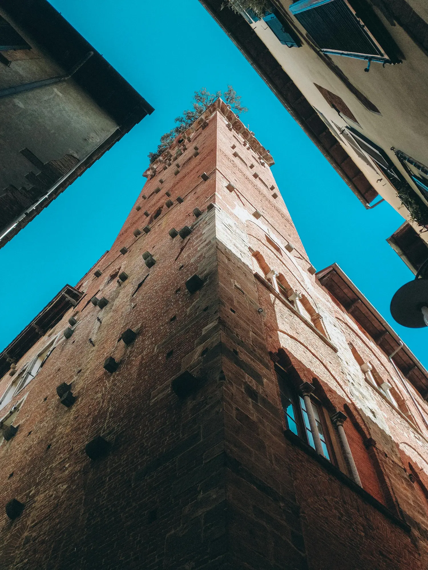 Torre Guinigi, Lucca