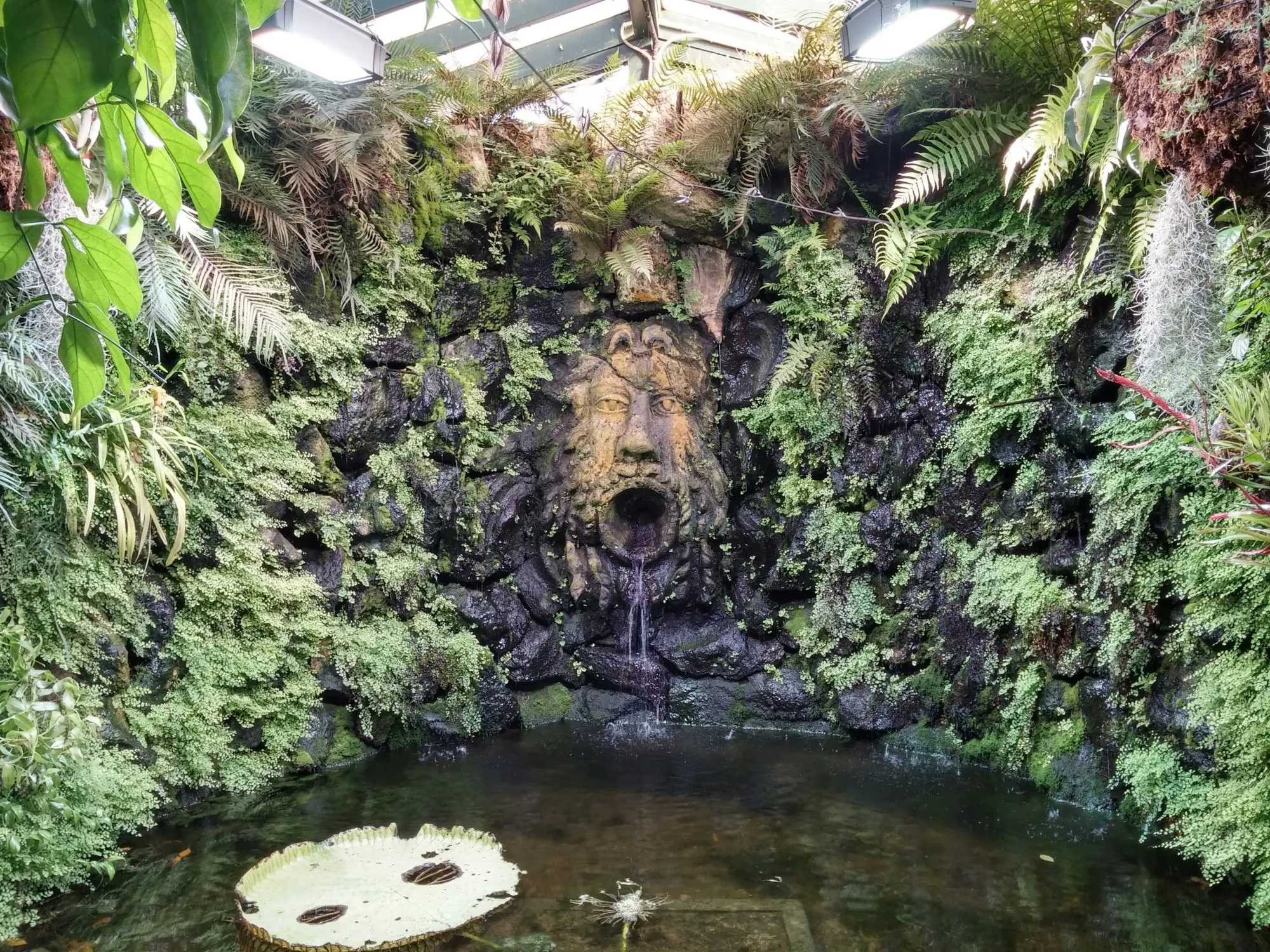 La Mortella Garden, Ischia
