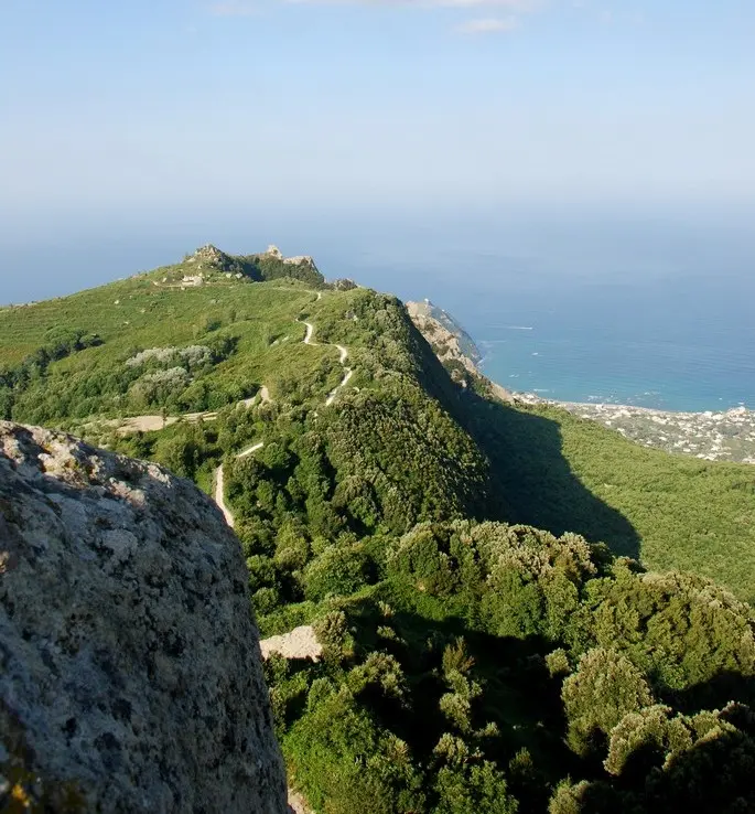 Mount Epomeo