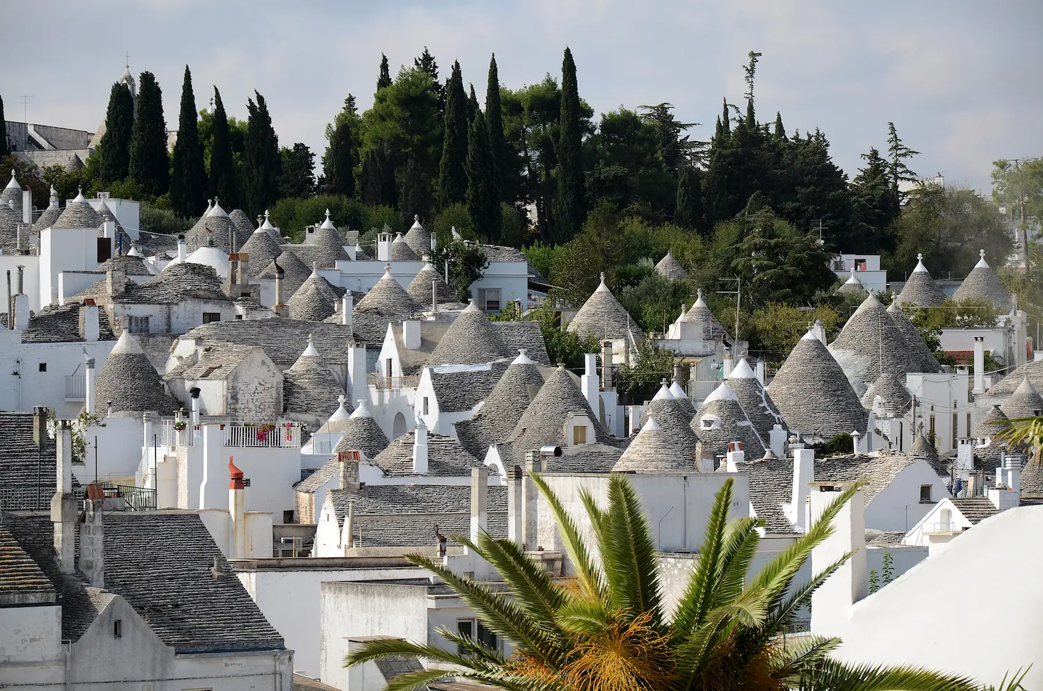 Alberobello by Train & Bus from Bari: A Day Trip to Puglia's Trulli Town