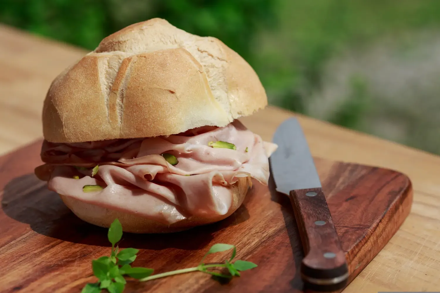 Mortadella panino 