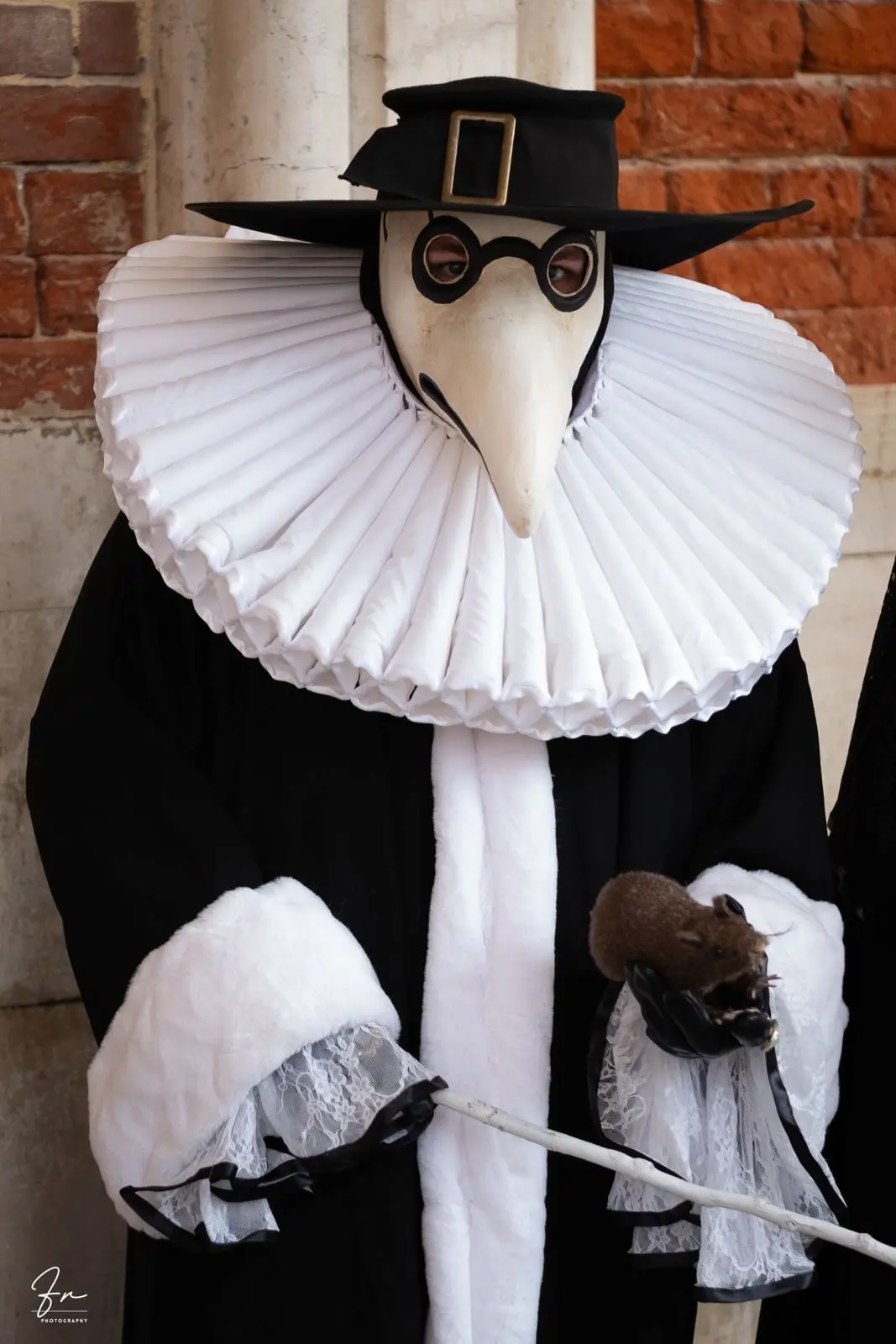Medico della Peste plague doctor mask with white beak, pleated ruff collar and black cloak, Venice Carnival